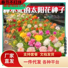 һlذ̫ꖻNļ˹շN̨ɫ҃ԻѝM