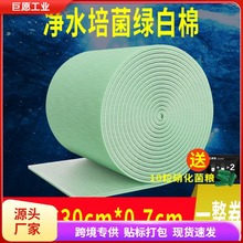 鱼缸专用过滤棉器培菌材料加厚高密度绿白海绵养鱼净化魔毯生化棉