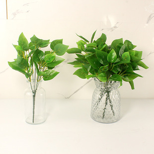 ����Gֲ���Ը��໨���쾰��c�������b�ֲ���~��7��G�}����