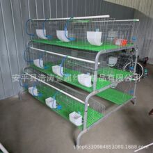 自家工厂 欧式兔笼 养殖厂兔笼 母兔产仔笼兔笼子自动清粪设备