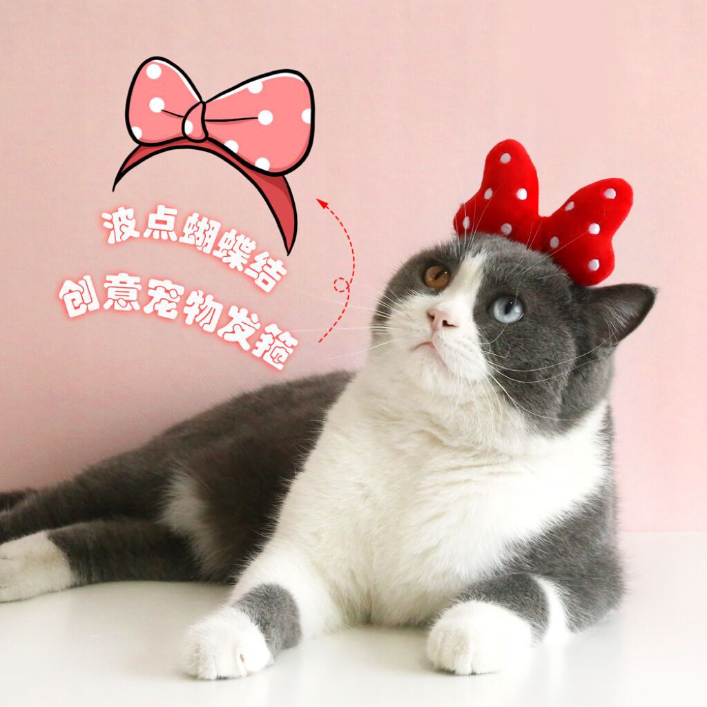 QQ图片20221110150715
