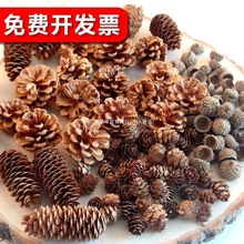 手工diy果干干树枝幼儿园环创松果创意摆件野生橡花松塔森林装饰