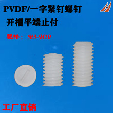 PVDF开槽平端止付螺钉 塑胶一字紧钉 螺杆堵头M3M4M5M6M8M10M12