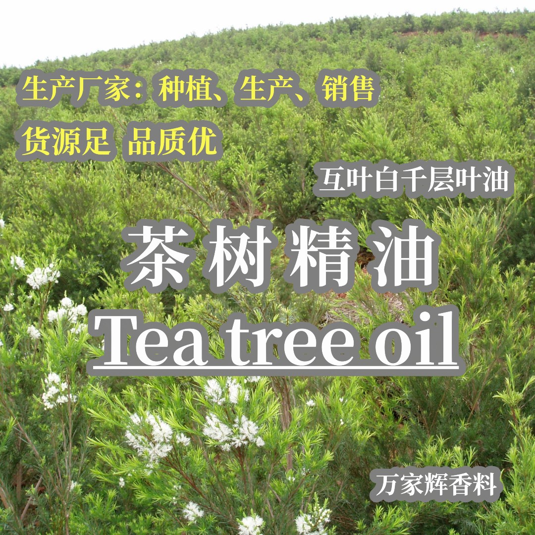 茶树油 tea tree oil 茶树精油 互叶白千层油厂家直销货源充足价