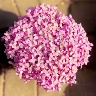 ֬녶ֲMϵm⻨^~ֲkWt