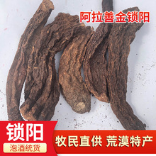 ���ɹŰ����ƻ�Į���������i��ݾƽ��i����lș�Ŀ�ʳ����ș��