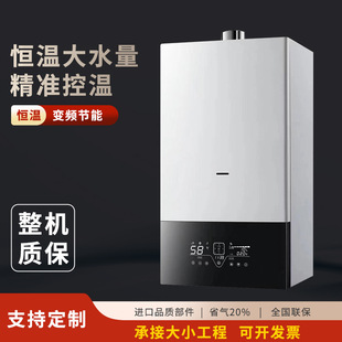 Gas wall-mounted stove household heating stove heating domestic water dual-use smart factory direct supply wholesale