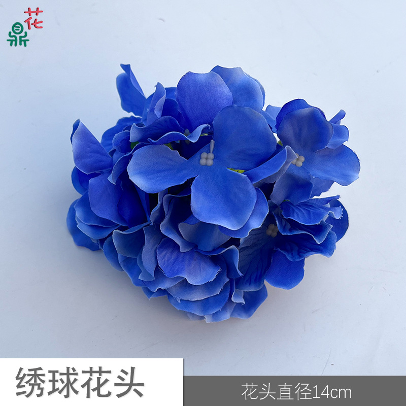 6 수국 머리 YY 로얄 블루