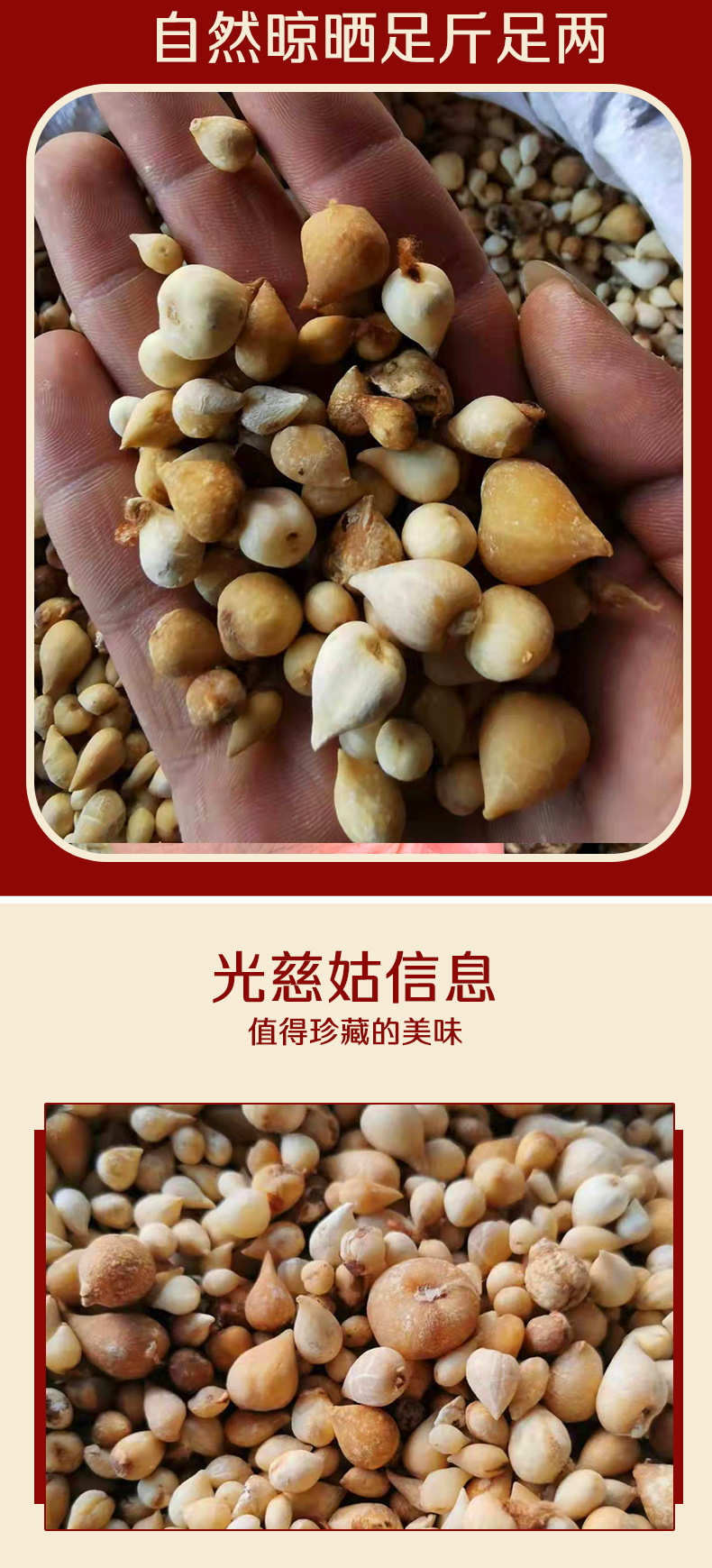 Dried Guang Gu Ci Bulbs 500g Natural Sun Dried Traditional Chinese Herb for Decoction and Culinary Use key features