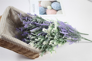 ��c�b������ϻ������[�����Բ廨���5��ֲ�q����޹�²�����