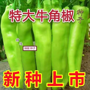 �ش�ţ�ǽ��N�����������N���ཷ�ѷN�����ļ����������߲�������