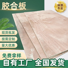 廠家直營楊木多層膠合板 木板材物流包裝用板三合板木工板膠合板