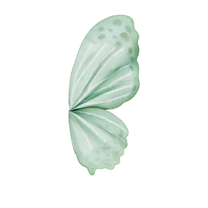 Bixa 50*56cm10 세트 (날개 10 개 및 꼬리 10 개);50*56CM40 세트 (날개 40 개 및 꼬리 40 개)