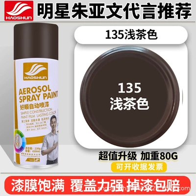 Automatic Hand-Operated Spray Paint Cans: Avtomobil boyası - light-brown-12-bottles-450mlbottle-spray-paint