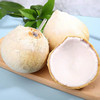 source supply Hainan milk Coconut fresh fruit Peeling Coconut One piece On behalf of