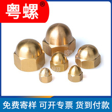 ���NҎ�������w����ĸ����&mdash;�w��ĸ ��ˮ�~��ĸ �A�^�S�~��ĸ����