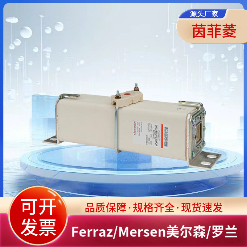 原装D602GD40C250QF G075768 D602GD40C280QF H075769美尔森罗兰