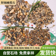 ��ů���ʯ���bСʯ�ӞV��ʯˮϴʯ�͸ߜغ����Z��ʯ�S��ɳʯ