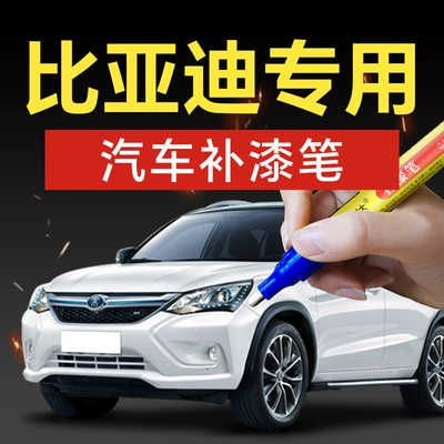 BYD MAX, Qin, Tang, Denza