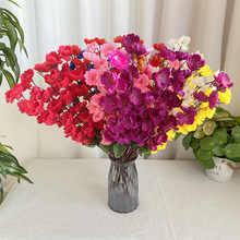 7����һ� ���̈@ˇ�����ٻ����� ��Y�҃��b�������һ����l