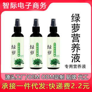 Special Nutrient Solution for Pothos, Foliar Spray, No Dilution, Universal Fertilizer for Pothos, Household Flower Potted Fertilizer