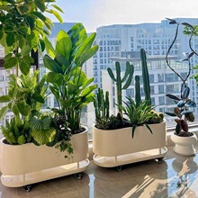 �̨�����҃��쾰�� �ƻ��@�������ν�ˮ�P���ػ��Π������P����