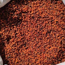 厂家现货沙棘果干新货新疆产颜色正手选杂新货批发沙棘果散装