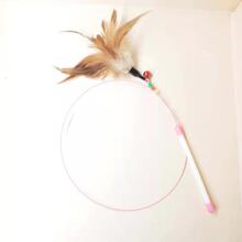 䓽z��؈�� ��ë��K ������� ����Ӗ����� �؈�U�S��