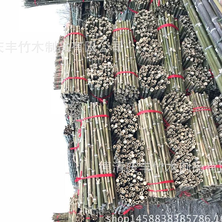Различные спецификации бамбуковая слегка бамбуковая метла ручка швабры бамбуковый стержень Озеленение Оптовая обработка