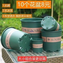 2025Ϙ֬СG}¼ӁԼӺ͸̨÷Nֲ