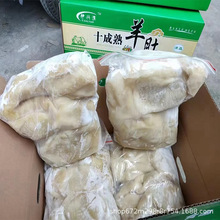 冷冻熟羊肚 十成熟羊肚 熟羊毛肚 羊杂碎羊下水饭店餐饮食材