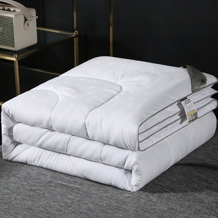 Winter Quilt Thickeneded Quilt Summer Cool Quilt Winter Quilt Air-Conditioned Quilt Student Dormitory Quilt Core Spring & Fall Thickeneded Quilt Wine Single Batch