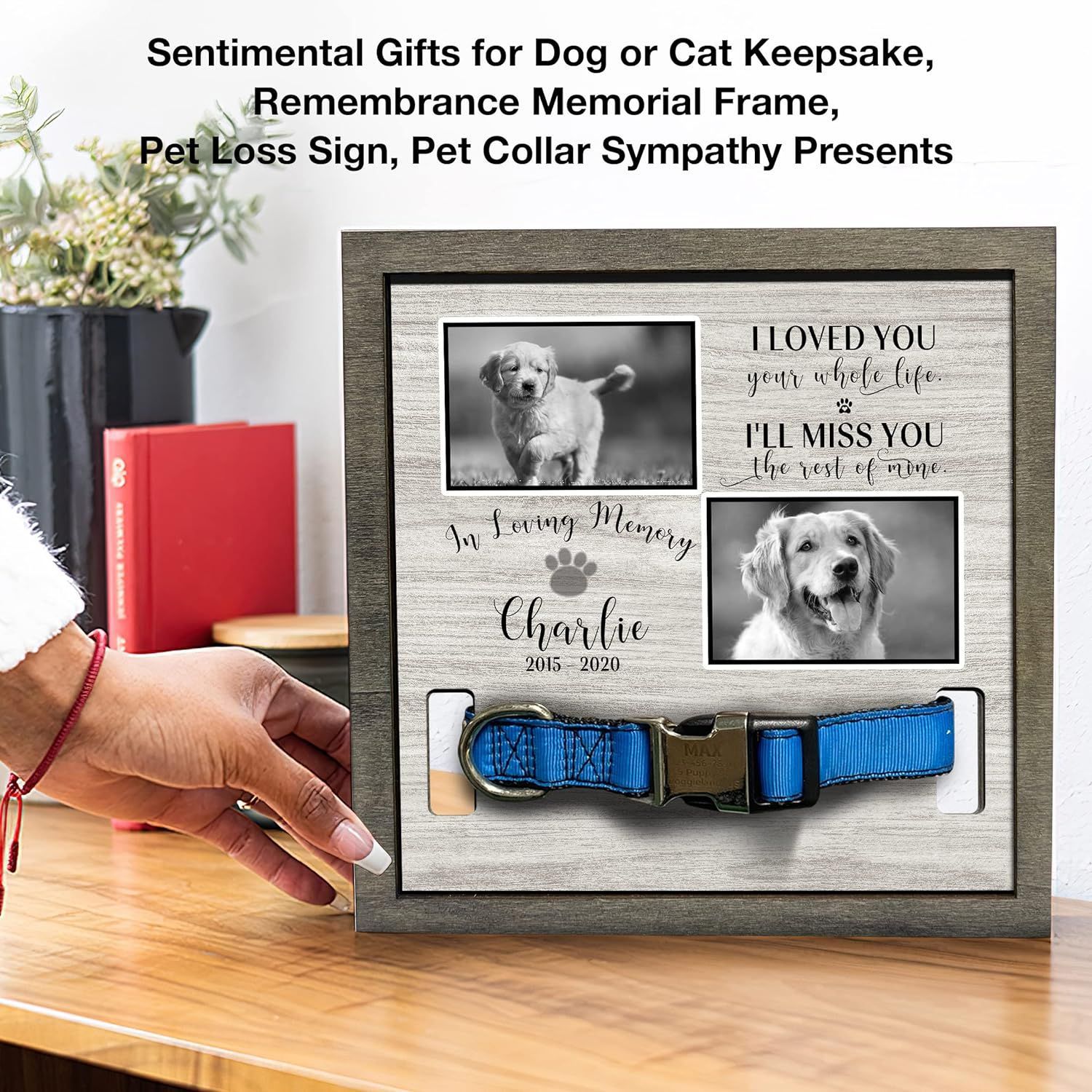 Pet Memorial marco de fotos de madera puede contener collar de perro Registro de crecimiento marco de fotos mascota regalo perdido Marco de Fotos decoración
