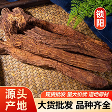 锁阳 锁阳片泡酒内蒙新疆中药材锁阳产地货源代磨粉 量大从优