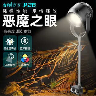 Jiyin Fish Tank Spotlight Led Waterproof Aquatic Plant Lamp Native Stream Tank Ornamental Lighting Fish Tank Lamp South American Tank Spotlight