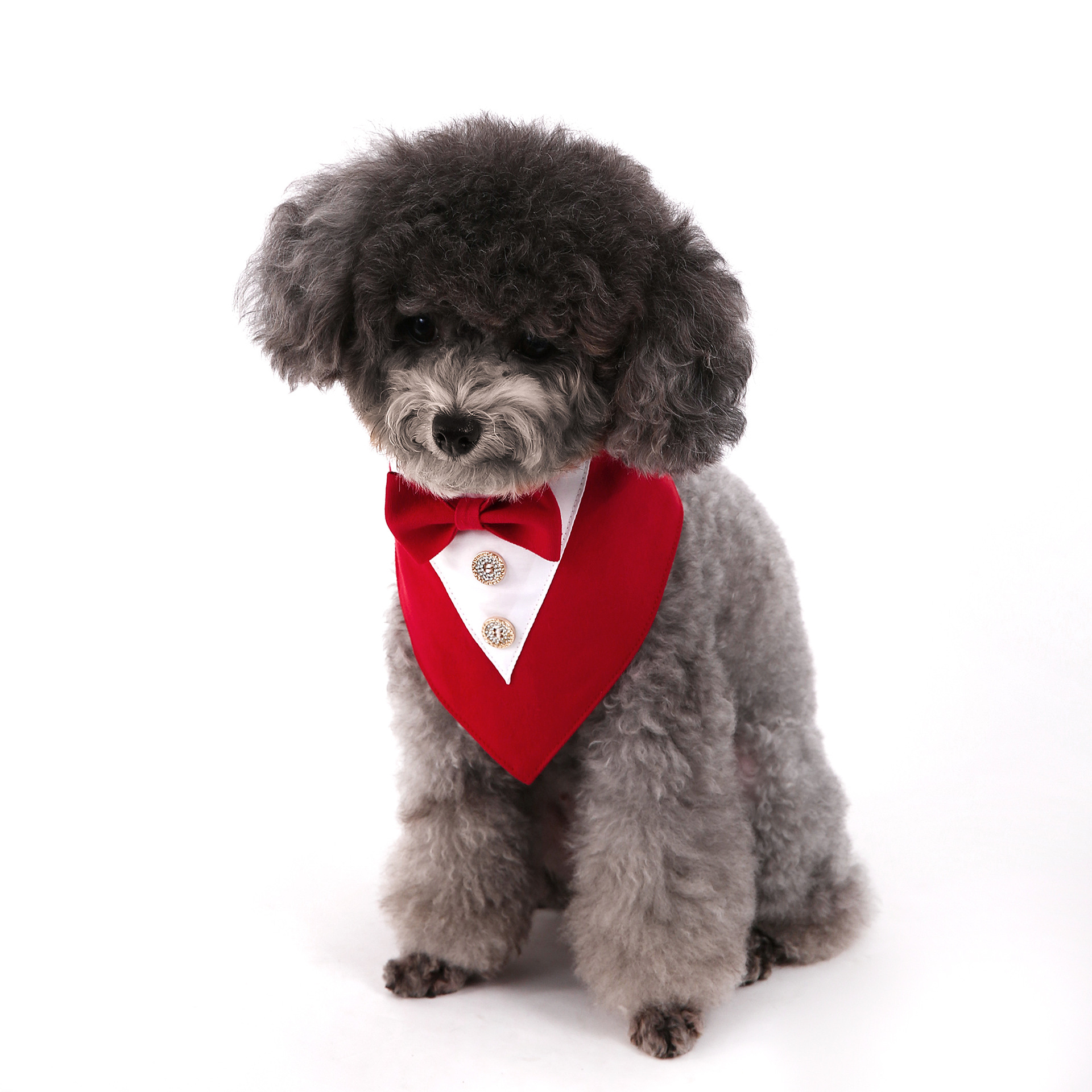 Navidad Año Nuevo Spot transfronterizo boda británica trajes toallas para mascotas bufandas perros velcro toallas para mascotas triángulos