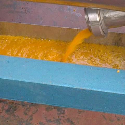 厂家供应橙子冲洗去皮榨汁生产线 全自动高速饮料果汁类生产线