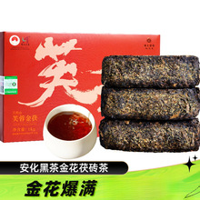 �����ڲ���ϰ����ڲ���Ş���������ڲ����u��