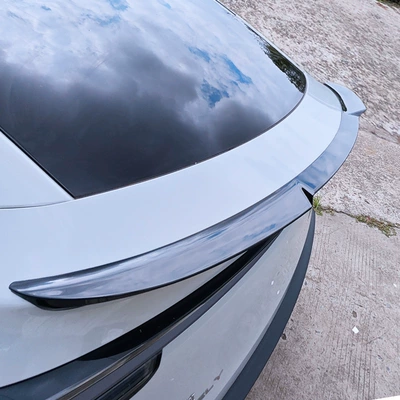 Spoiler for: Tesla Fixed wind wing