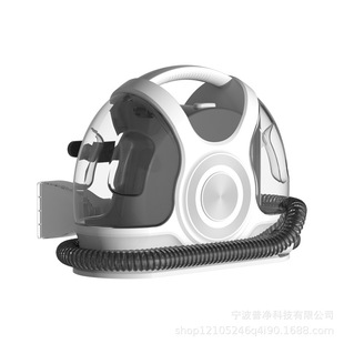 Cold Water Sofa Curtain Carpet Pet Hair Handheld Self-Cleaning Cleaning Machine