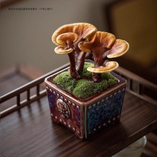 ��ؔ�`֥�����҃�����Ȥζ�^�~ֲ����B�׻��ݗ�����Gֲ�k����