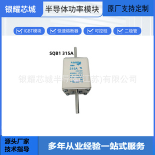 ���� SIBADC1100V250A ����ʽ�۔���  ԭ�S��؛ �Ɠp����
