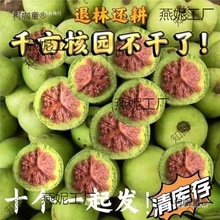 ���Ǫ{���^����y���ñ��Ƥ�������ـ��Ƥ���ܳ�����������̫��