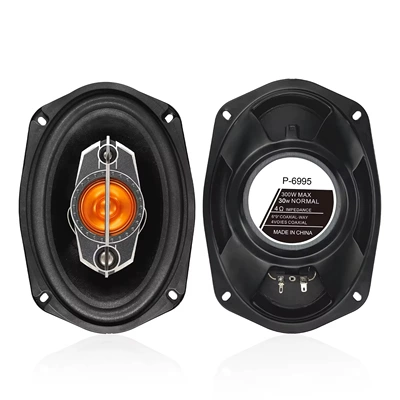 e-commerce manufacturer's new car: Car horn/tweeter