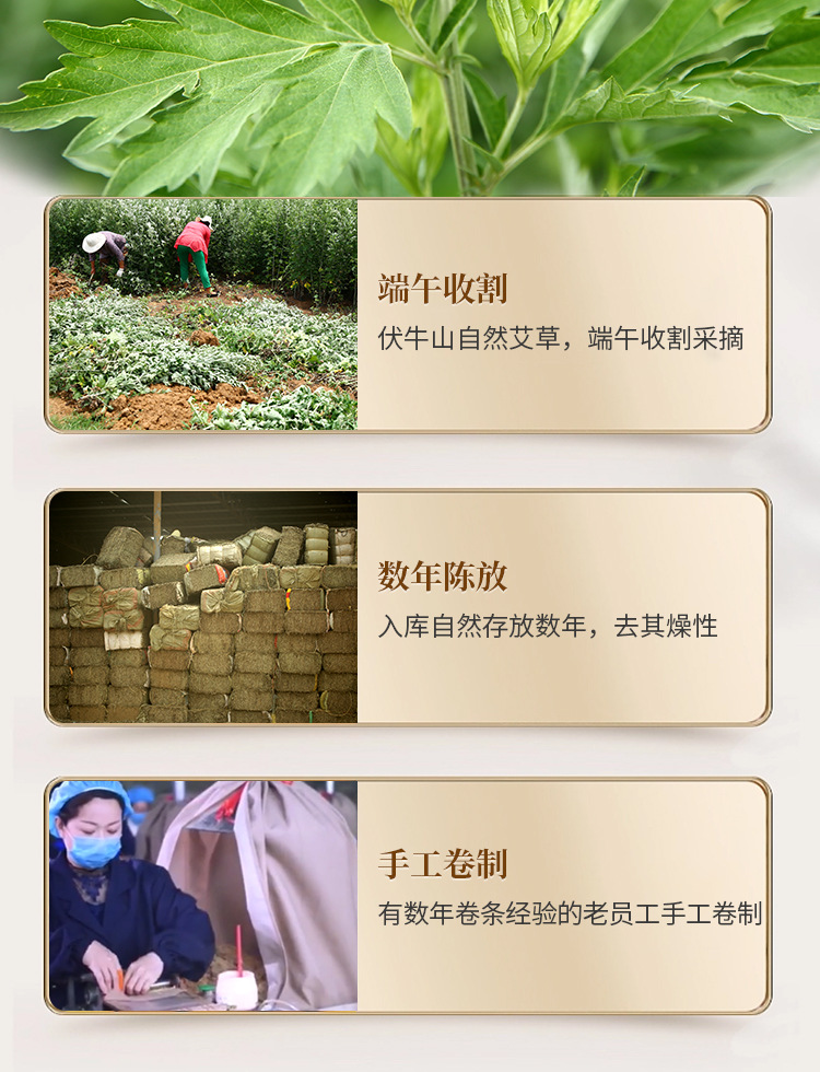 Moxa Sticks Ai Tiao 艾条 9x180mm 10 Sticks Herbal Moxibustion Rolls for Home Warming Care quality and texture
