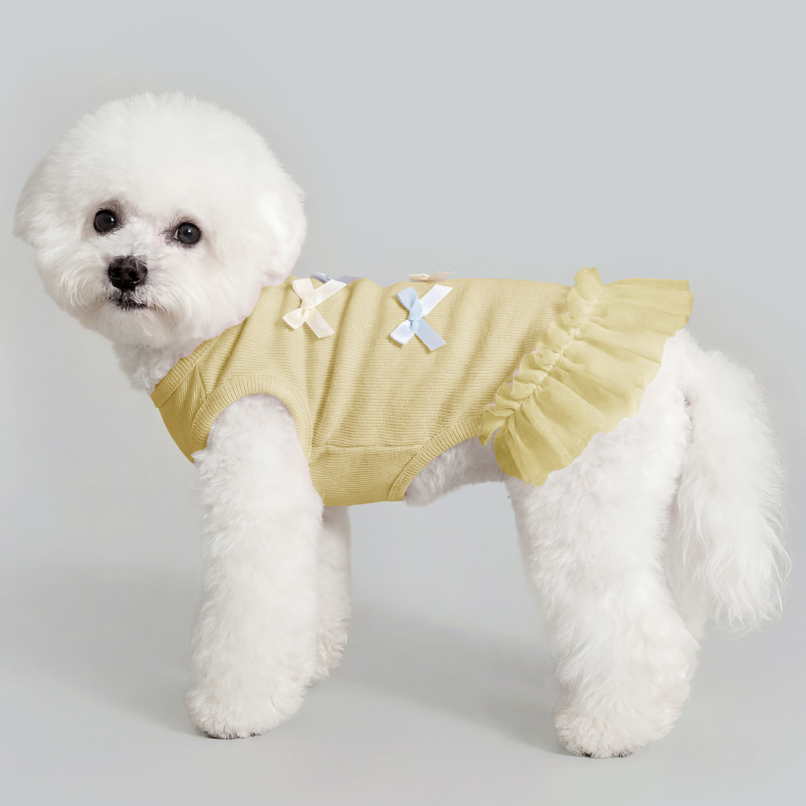 Chaleco refrescante de verano para mascotas con tacto helado, ropa transpirable y fina con protección solar de contraste de color para Bichón Frisé americano._voghion.com