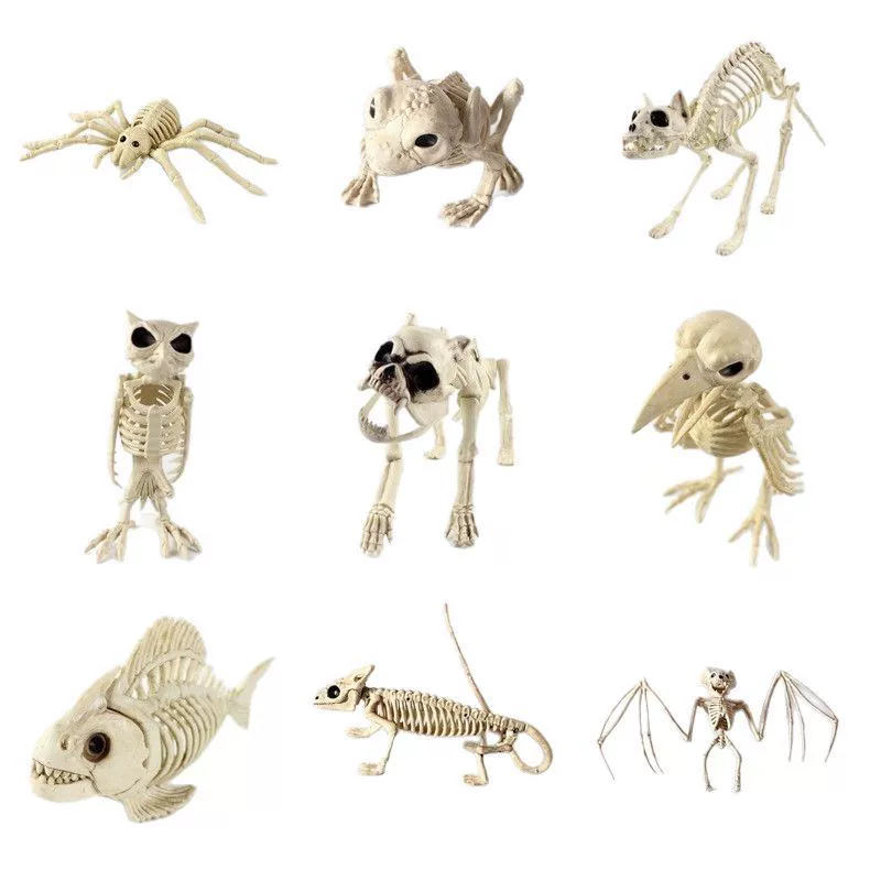 Skeleton, halloween, fighting