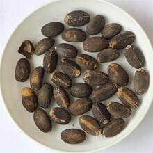 ���羳��؛�����L��N�� ��ľ�N�� Ʒ�N�Rȫ�lѿ�ʸ��鯂��