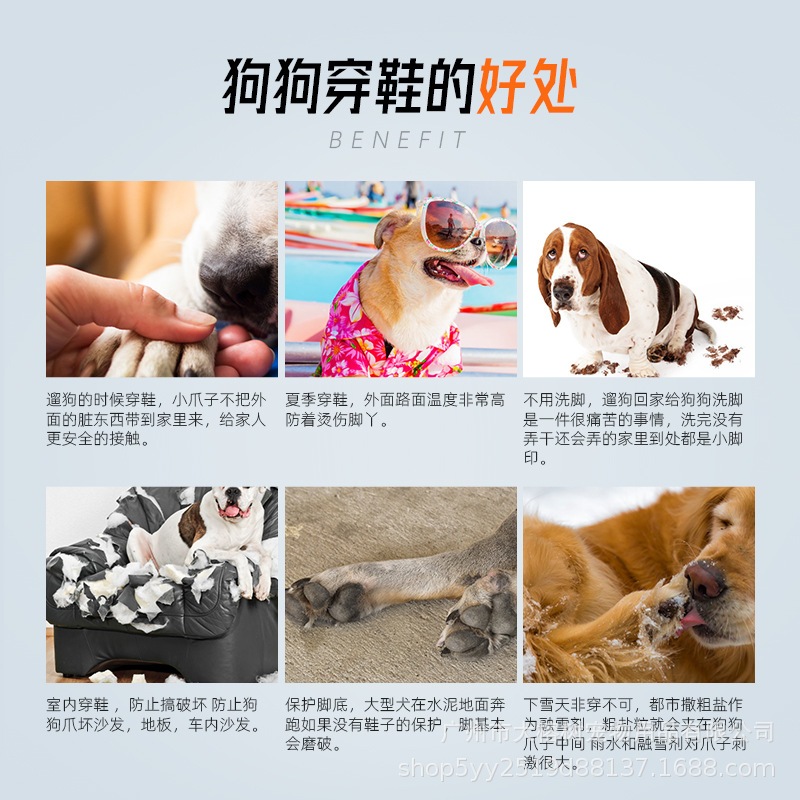 主图-6.jpg