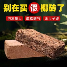 兰花专用营养土小椰壳砖粗椰糠蝴蝶兰石斛植料粗椰块压缩脱盐椰砖